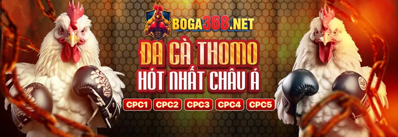 Blog e28vn - Nền tảng cá cược trực tuyến hàng đầu Việt Nam